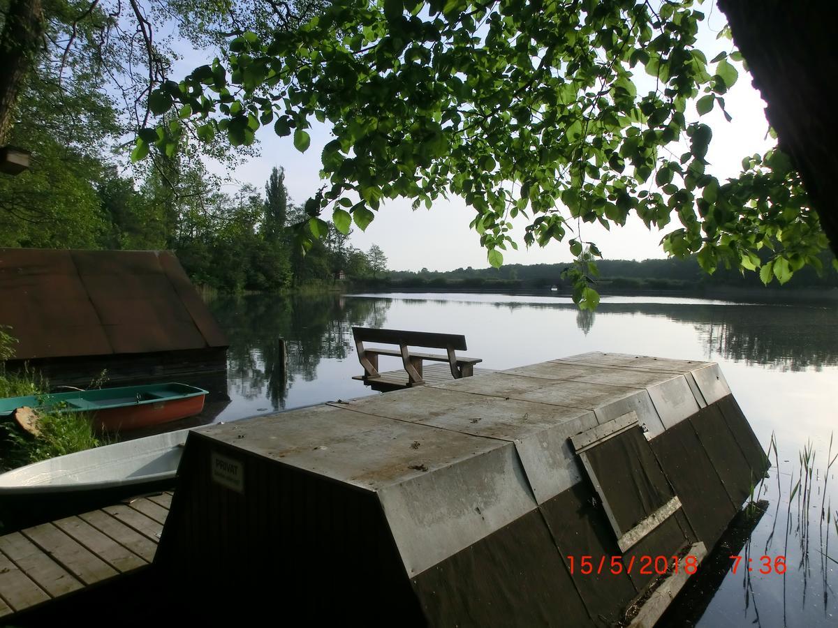 Ferienwohnung Luzinblick Feldberger Seenlandschaft Ngoại thất bức ảnh